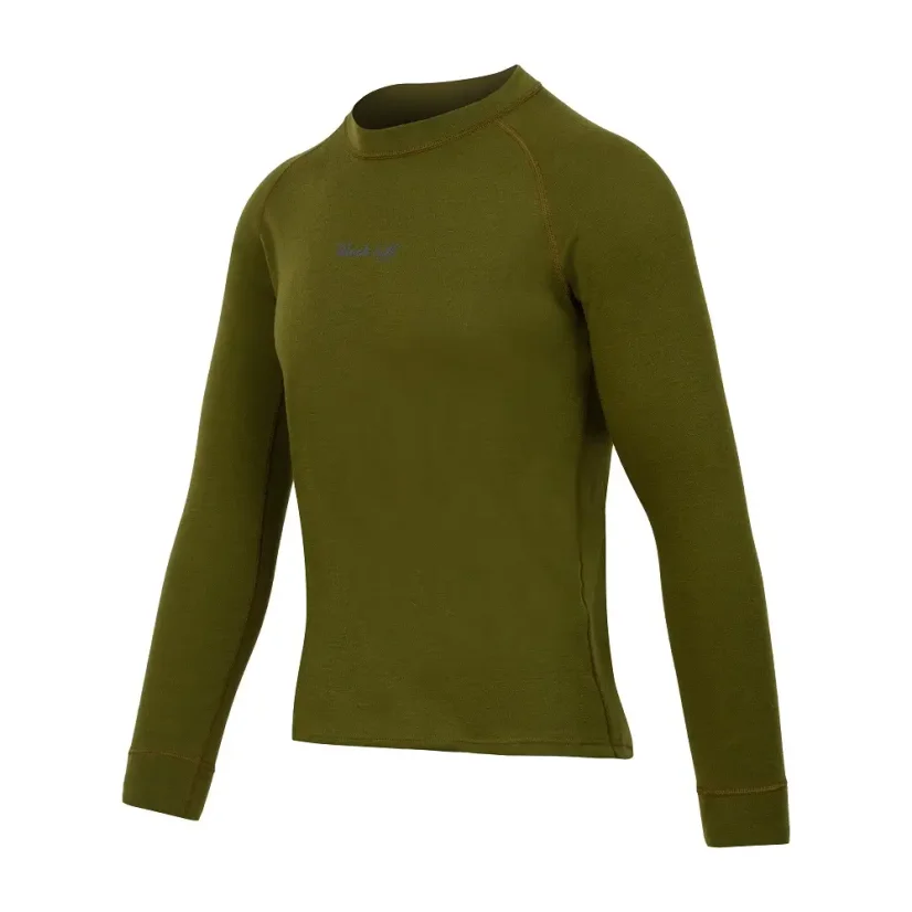Men´s merino T-shirt DR WP250 - green