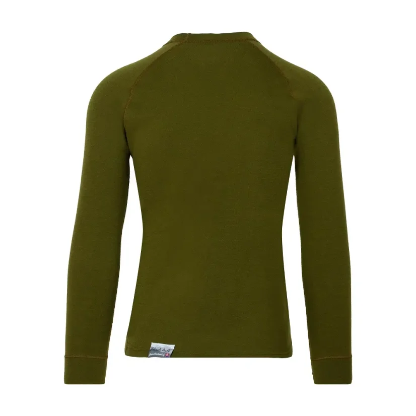 Men´s merino T-shirt DR WP250 - green