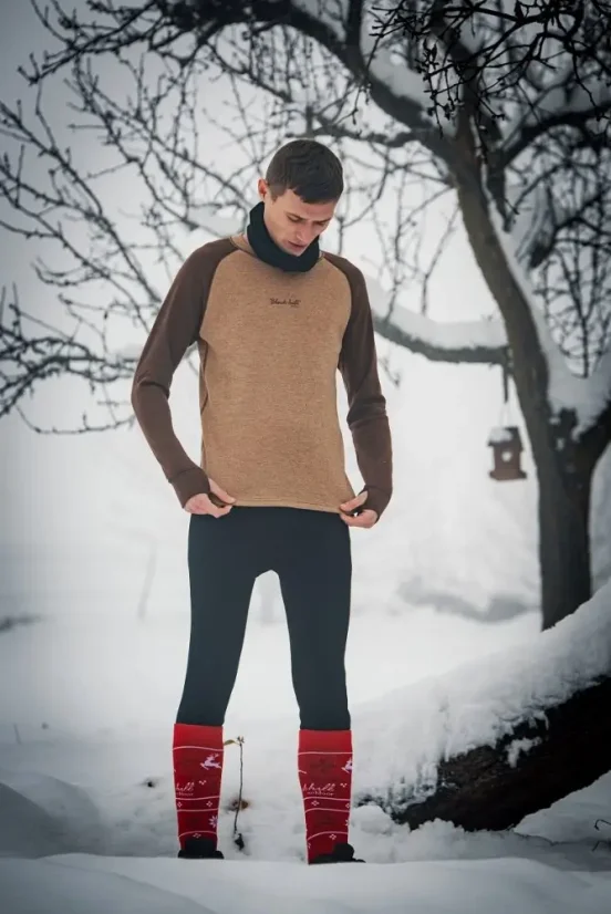 Pánské merino triko DR WP250 - hnědá/třtinová