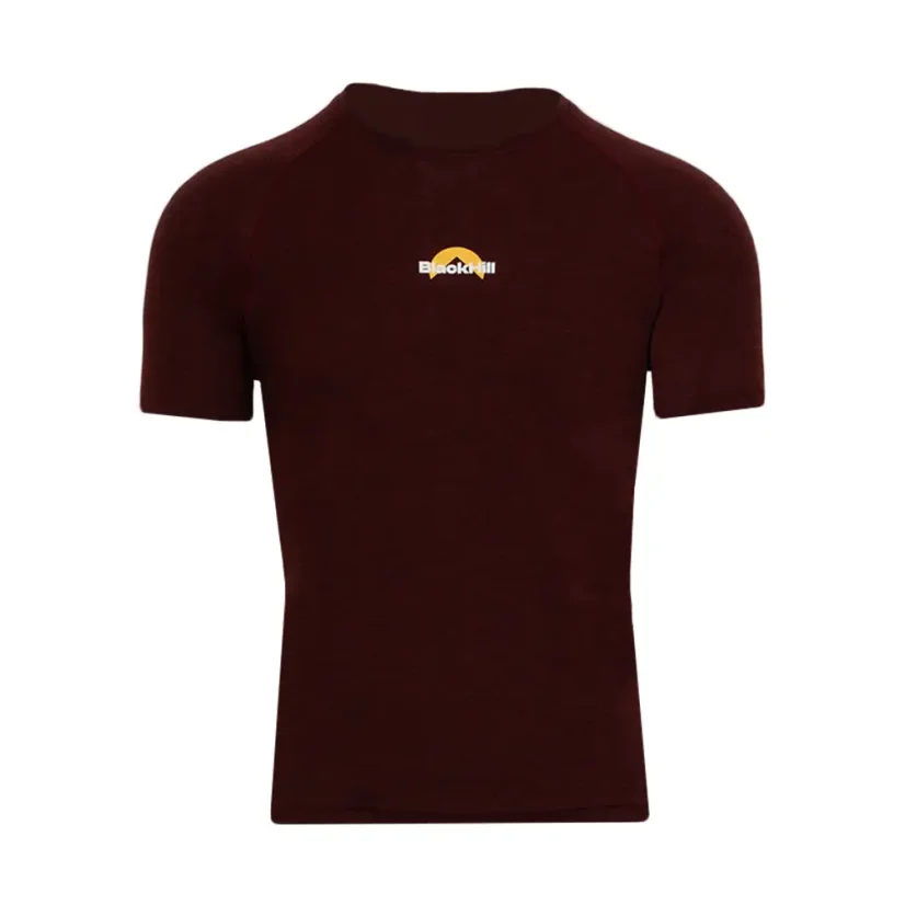 Men's merino T-shirt KR S160 - burgundy - Size: S