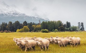 Merino vlna - udržateľná, odbúrateľná a ekologická voľba pre outdoorové oblečenie