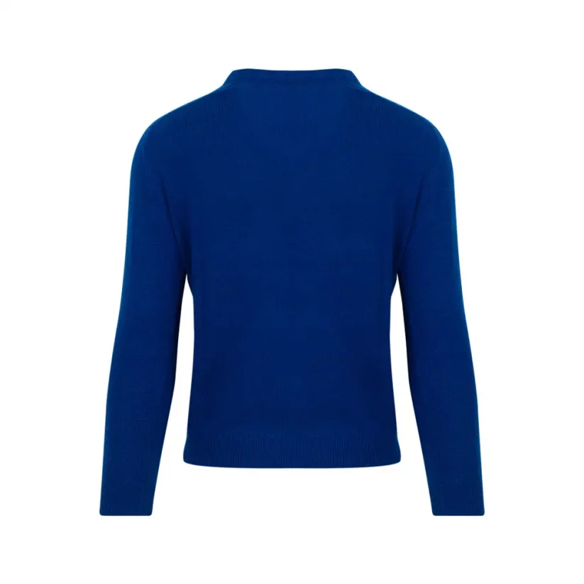 Men’s merino sweater Dali - Blue
