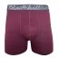 Men´s merino boxers GINO -  fig