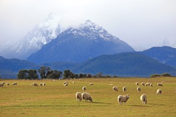Merino v lete: 7 dôvodov, prečo vlna nepatrí len do zimného šatníka